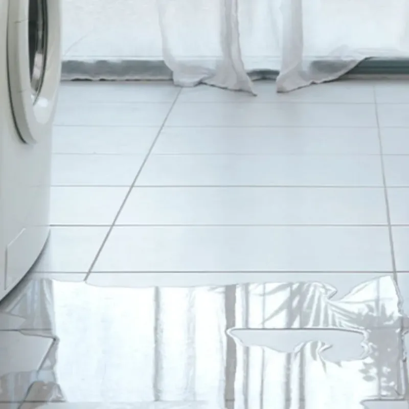 Appliance Leak Cleanup in Jasper County, SC