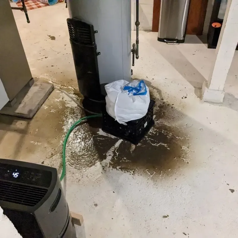 Sewage Backup Cleanup Service in Jasper County, SC